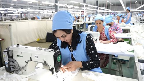 全球连线丨中塔农业合作 在小小棉花里找到通向幸福的路