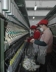 玉竹麻业纺纱车间 传统工艺与现代技术的交织