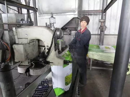 绥棱媒体走基层看发展 纺纱加工产业转型升级，织就乡村振兴新画卷