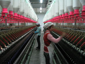 科技赋能，纺出乡村振兴新篇章——记金塔县神舟纺织公司省级农产品加工示范企业之路